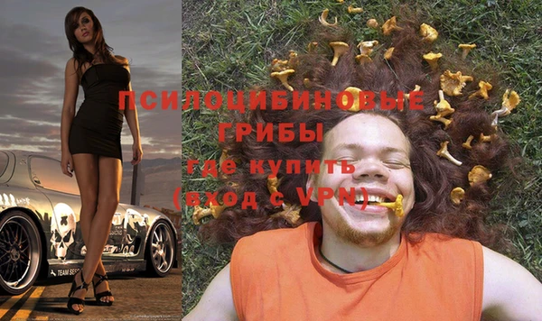 молекула духа Беломорск