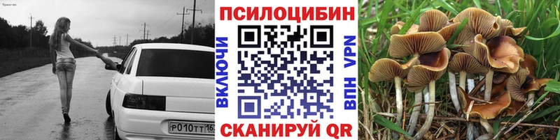 Галлюциногенные грибы Psilocybine cubensis  Ворсма 